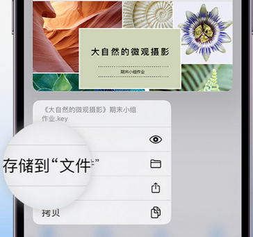 多宝镇apple维修中心分享iPhone文件应用中存储和找到下载文件