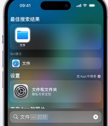 多宝镇apple维修中心分享iPhone文件应用中存储和找到下载文件