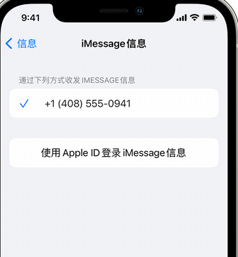 多宝镇apple维修iPhone上无法正常发送iMessage信息 