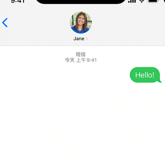 多宝镇apple维修iPhone上无法正常发送iMessage信息