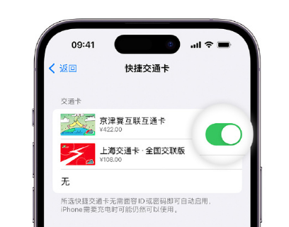 多宝镇apple维修点分享iPhone上更换Apple Pay快捷交通卡手绘卡面 