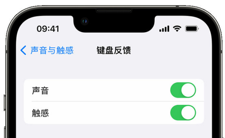 多宝镇苹果手机维修分享iPhone 14触感键盘使用方法 