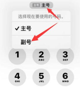 多宝镇苹果14维修店分享iPhone 14 Pro Max使用副卡打电话的方法 