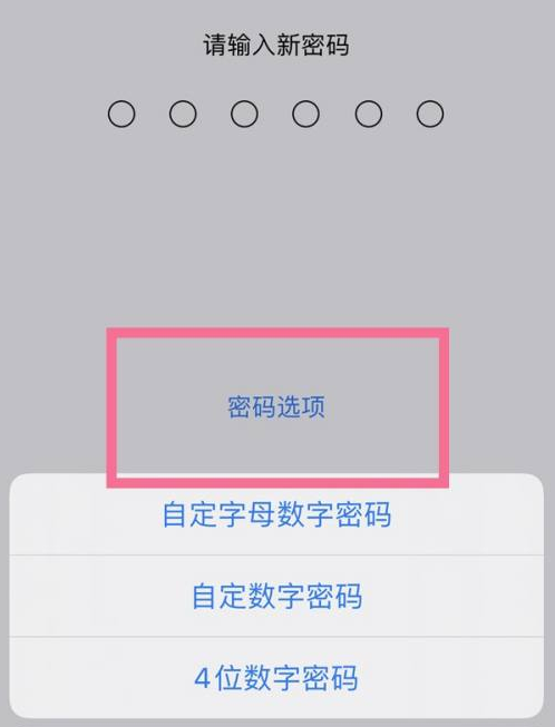 多宝镇苹果14维修分享iPhone 14plus设置密码的方法 