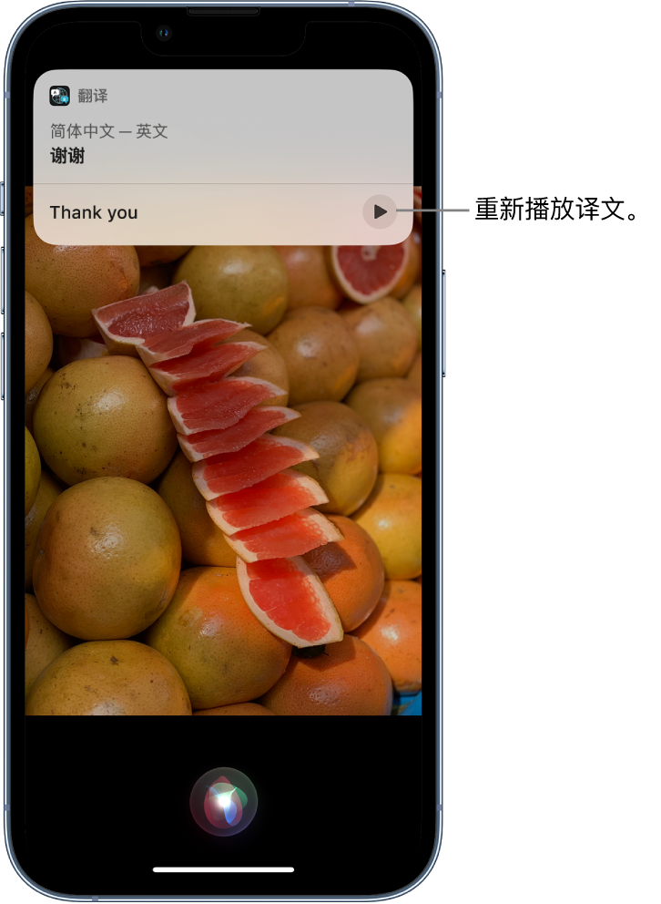 多宝镇苹果14维修分享 iPhone 14 机型中使用 Siri：了解 Siri 能帮你做什么 