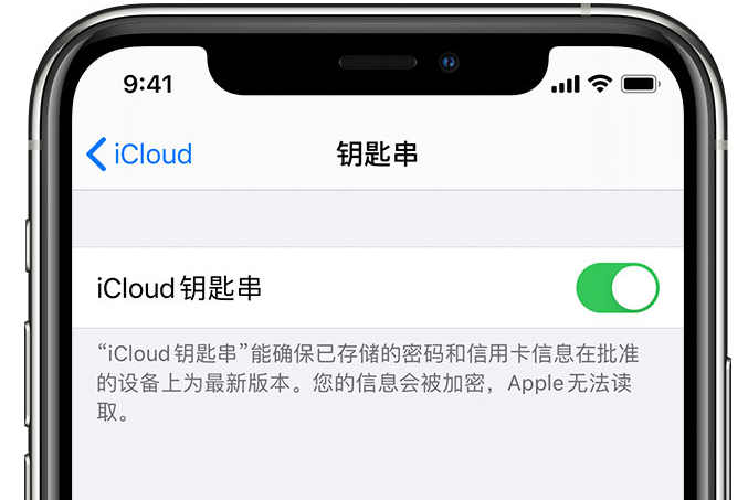 多宝镇苹果手机维修分享在 iPhone 上开启 iCloud 钥匙串之后会储存哪些信息 