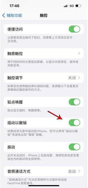 多宝镇苹果手机维修分享iPhone手机如何设置摇一摇删除文字 